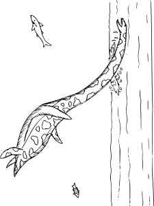 Plesiosaurus coloring page - picture 25