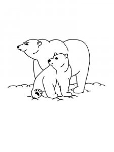 Polar Bear coloring page - picture 10