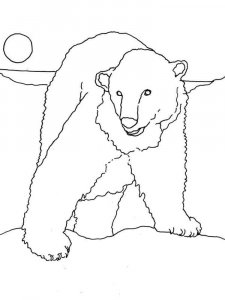 Polar Bear coloring page - picture 15