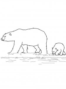 Polar Bear coloring page - picture 18