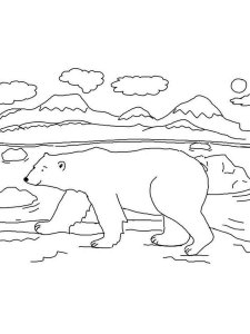 Polar Bear coloring page - picture 21
