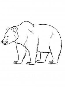 Polar Bear coloring page - picture 25