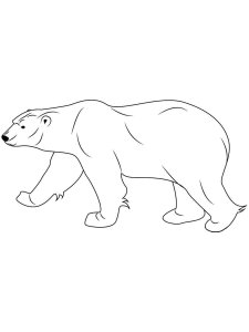 Polar Bear coloring page - picture 4