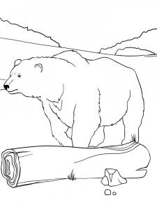 Polar Bear coloring page - picture 7