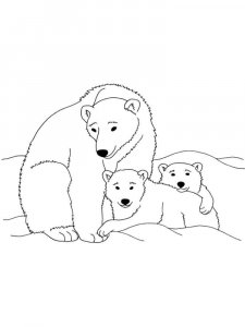 Polar Bear coloring page - picture 8