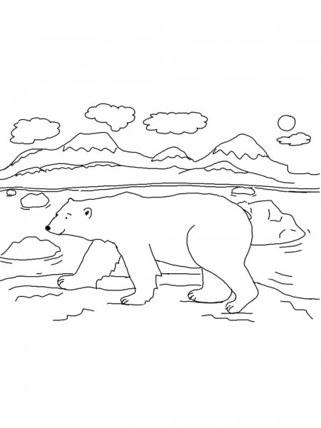 Polar Bear coloring pages