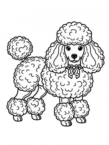 Poodle coloring pages