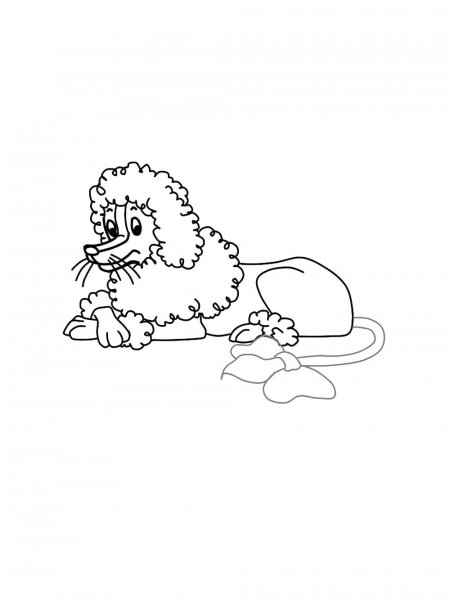 Poodle coloring pages