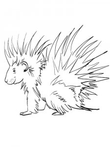 Porcupine coloring page - picture 5