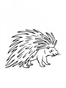 Porcupine coloring page - picture 6