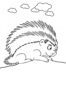Porcupine coloring page - picture 7