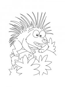 Porcupine coloring page - picture 8