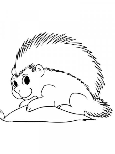 Porcupine coloring pages