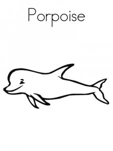 Porpoise coloring page - picture 6