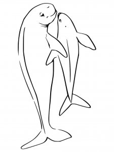 Porpoise coloring page - picture 7