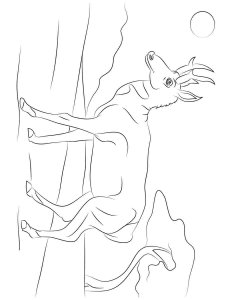 Pronghorn coloring page - picture 9