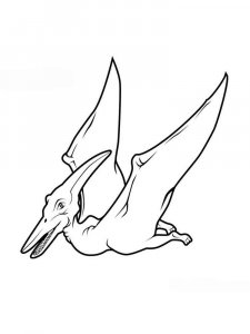 Pterodactyl coloring page - picture 13