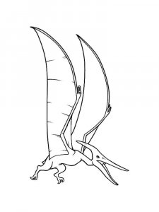 Pterodactyl coloring page - picture 16