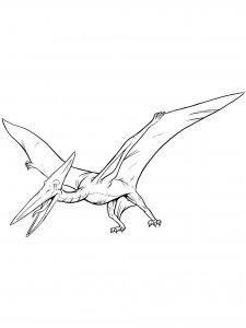 Pterodactyl coloring page - picture 5
