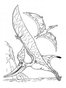 Pterodactyl coloring page - picture 9