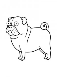 Pug coloring page - picture 12