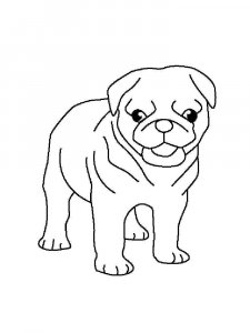 Pug coloring page - picture 15