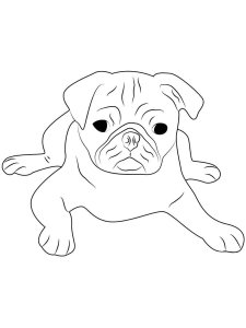 Pug coloring page - picture 2