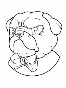 Pug coloring page - picture 4