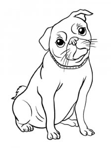 Pug coloring page - picture 7