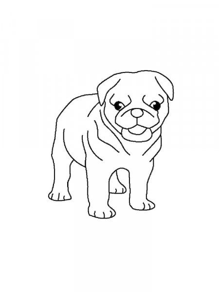 Pug coloring pages