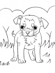 Puppy coloring page - picture 18