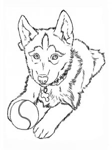 Puppy coloring page - picture 21