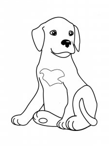 Puppy coloring page - picture 30