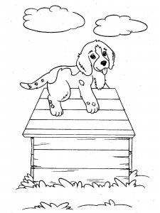 Puppy coloring page - picture 9