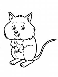 Quokka coloring page - picture 1