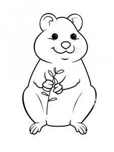 Quokka coloring page - picture 10