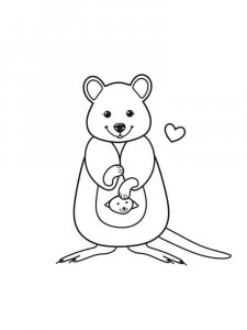 Quokka coloring page - picture 13
