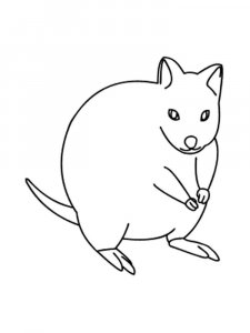 Quokka coloring page - picture 19