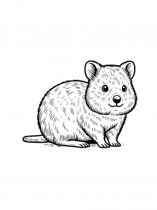 Quokka Coloring Pages 20