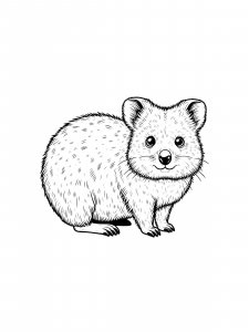 Quokka Coloring Pages 27