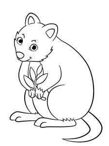 Quokka coloring page - picture 4