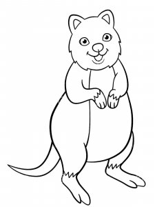 Quokka coloring page - picture 5