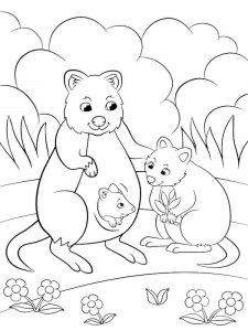 Quokka coloring page - picture 7