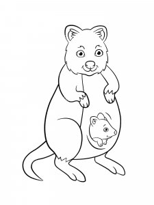 Quokka coloring page - picture 8