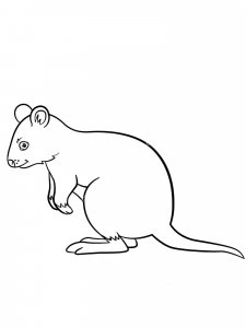 Quokka coloring page - picture 9