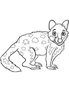 Quoll coloring page - picture 8