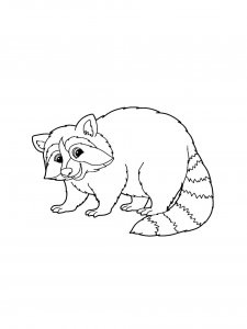 Raccoon Coloring Pages 45