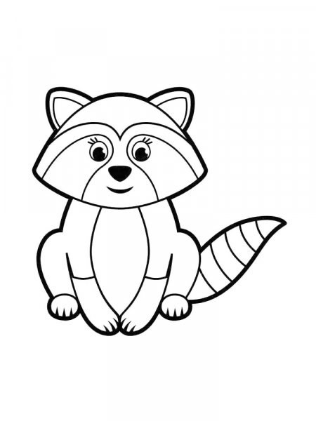 Raccoon coloring pages