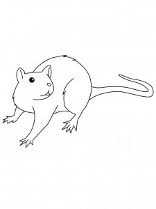 Rat coloring page - picture 1