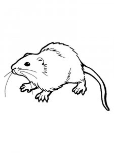 Rat coloring page - picture 12